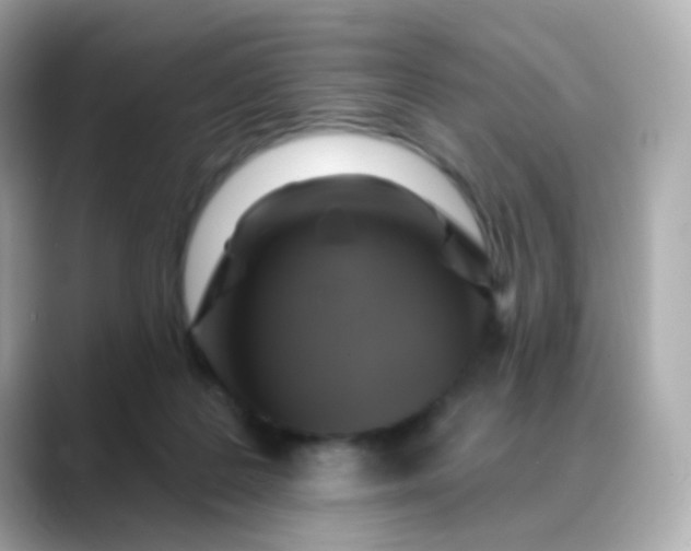 X0000088390219200706051123