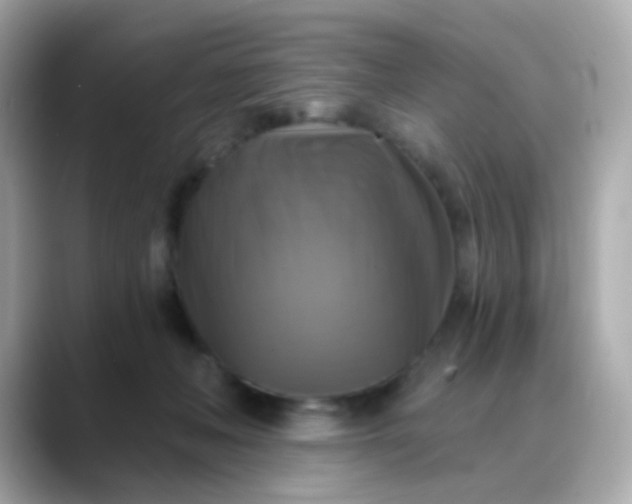 X0000088390222200706051123