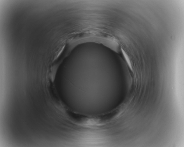 X0000088390223200706051123