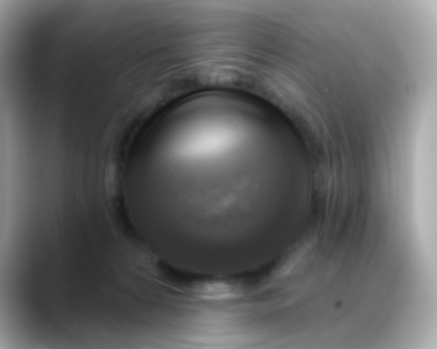 X0000088390224200706051123