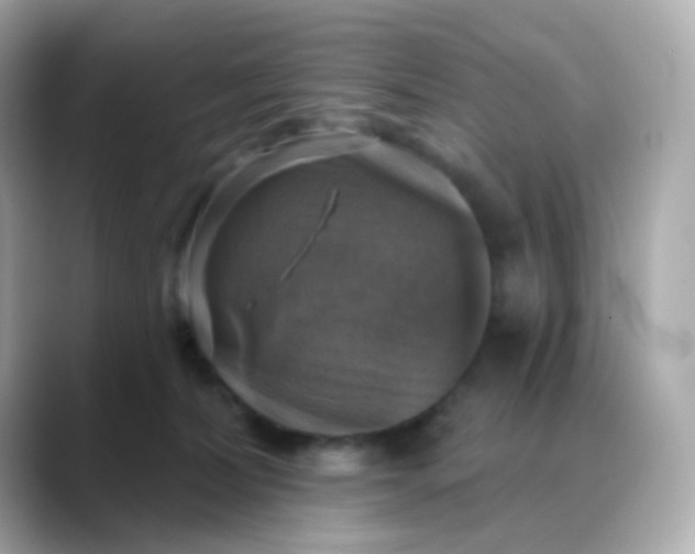 X0000088390228200706051123