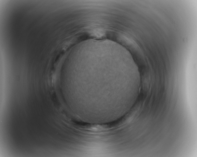 X0000088390229200706051123