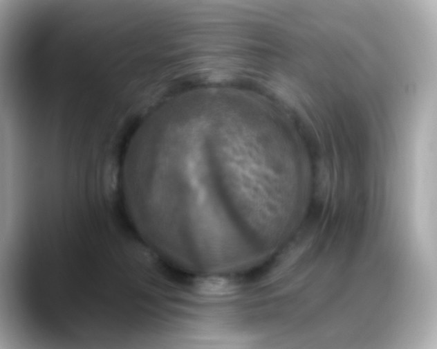 X0000088390230200706051123