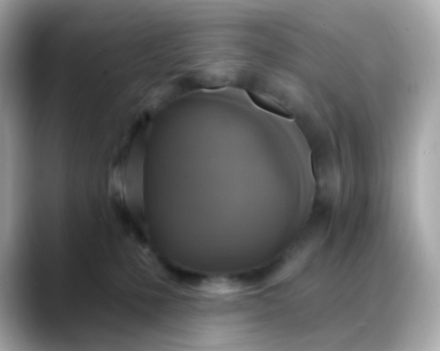 X0000088390231200706051123