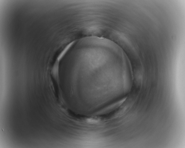 X0000088390232200706051123