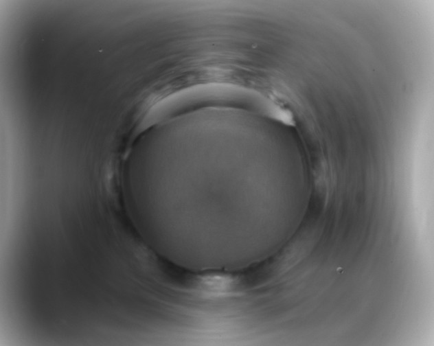 X0000088390233200706051123