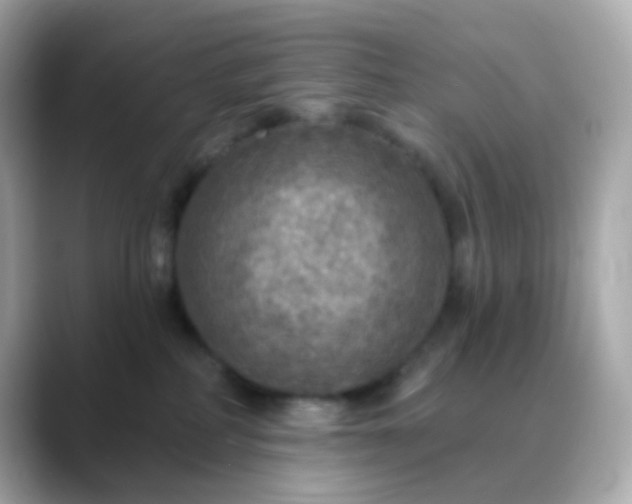 X0000088390234200706051123