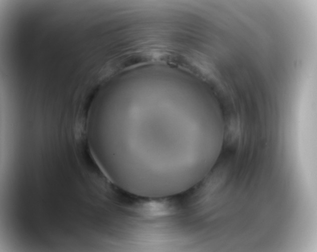 X0000088390236200706051123