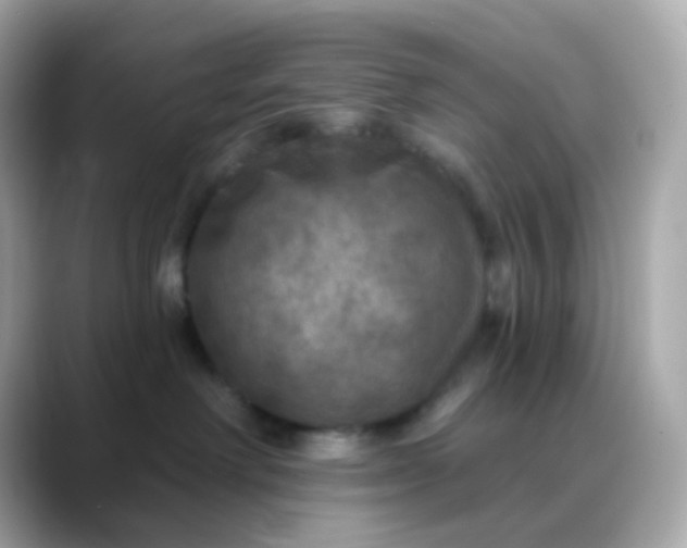 X0000088390238200706051123