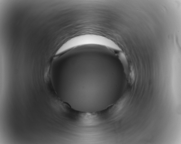 X0000088390239200706051123