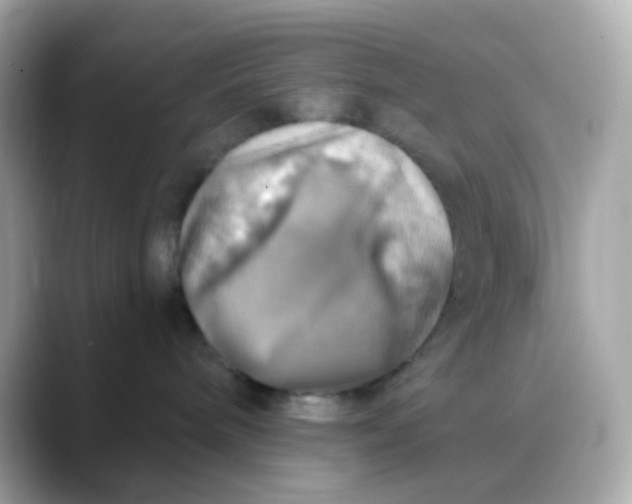 X0000088390240200706051123