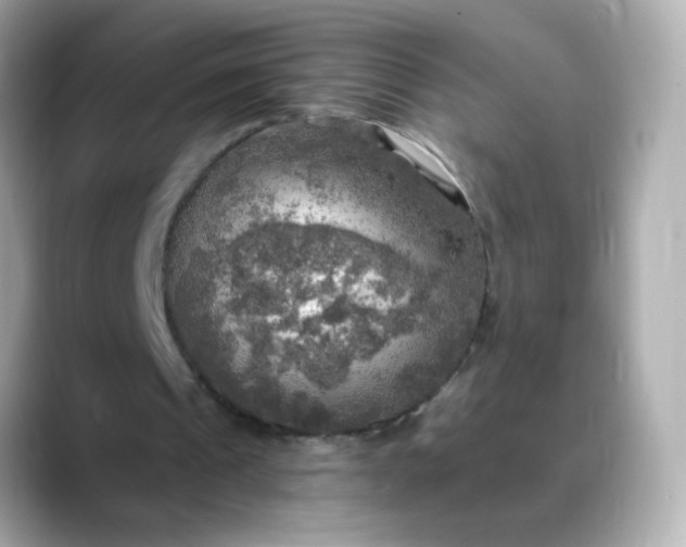 X0000088390241200706051122