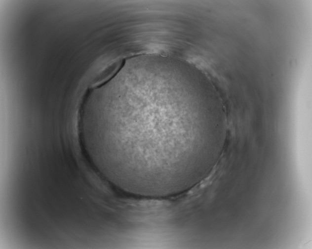 X0000088390242200706051122