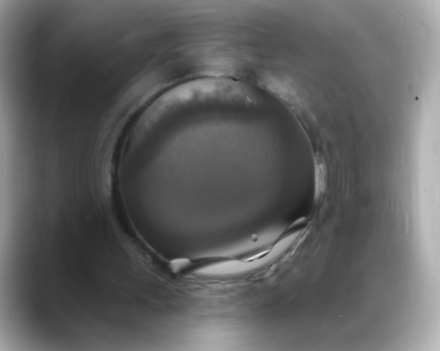 X0000088390243200706051122