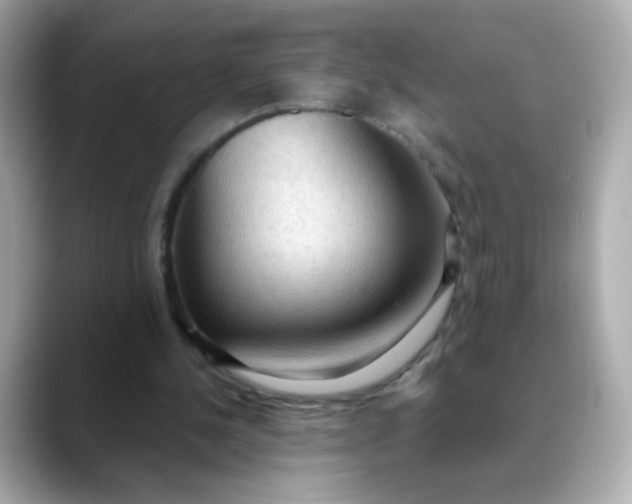 X0000088390244200706051122