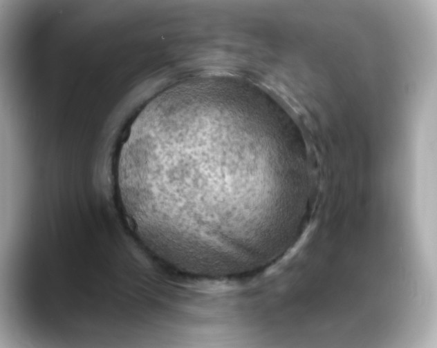 X0000088390245200706051122