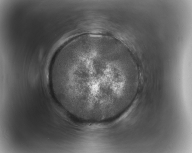 X0000088390246200706051122