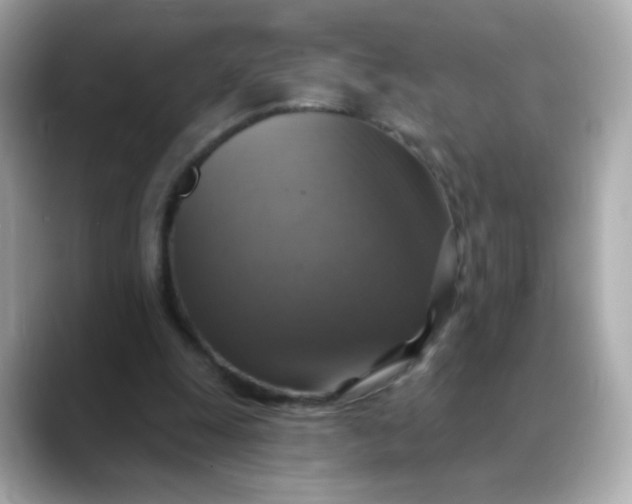 X0000088390247200706051122