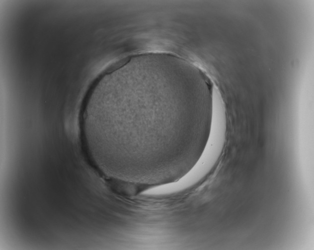 X0000088390248200706051122