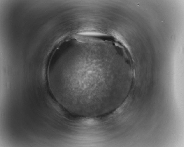 X0000088390249200706051122