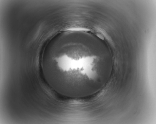 X0000088390250200706051122