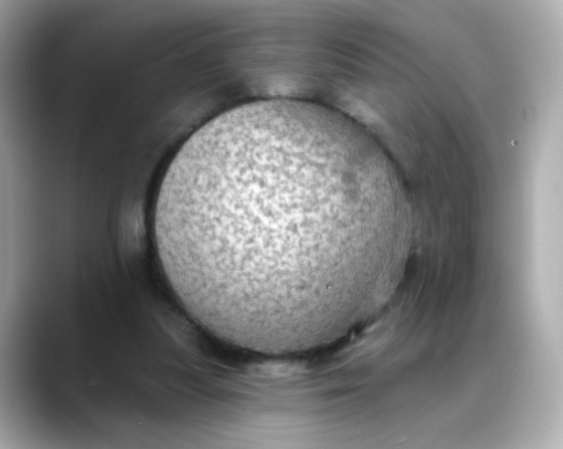 X0000088390251200706051122