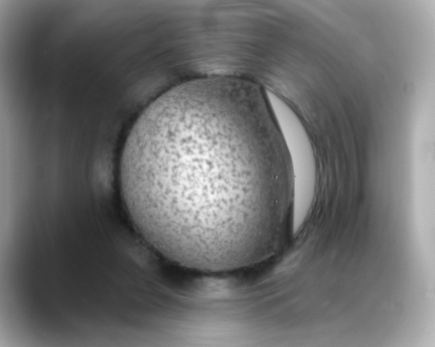 X0000088390255200706051123