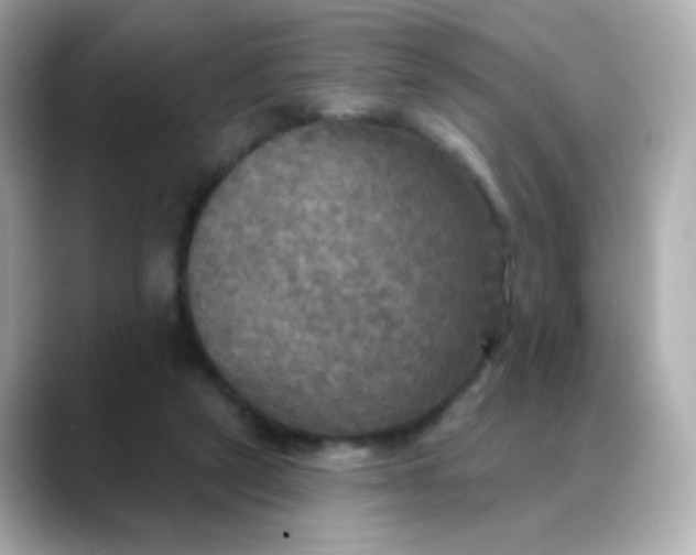 X0000088390257200706051123