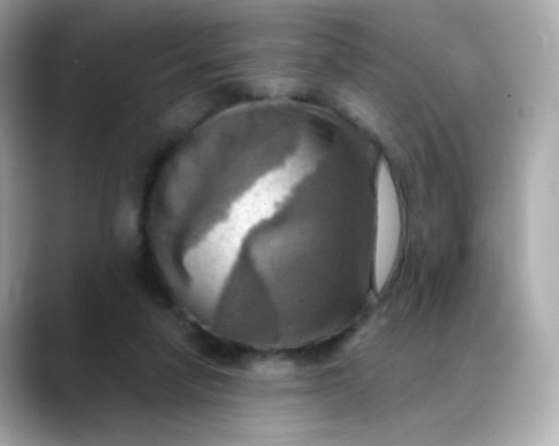 X0000088390258200706051123