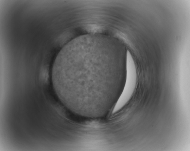 X0000088390259200706051123