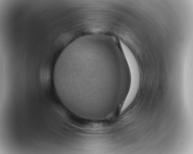 X0000088390260200706051123