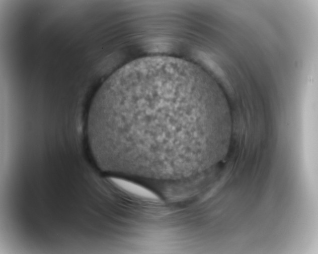 X0000088390261200706051123