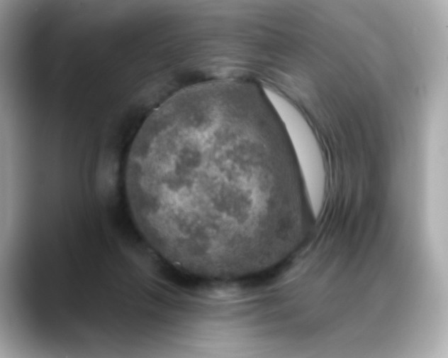 X0000088390263200706051123