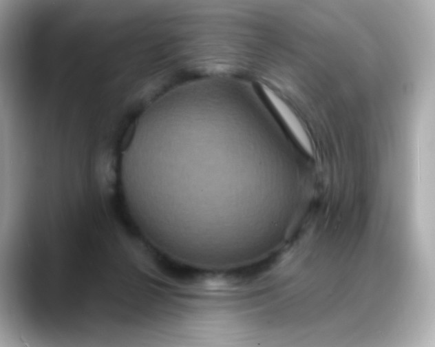 X0000088390264200706051123