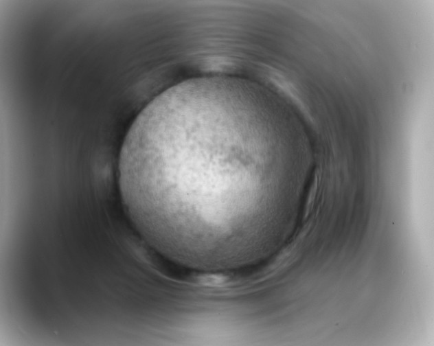 X0000088390265200706051123