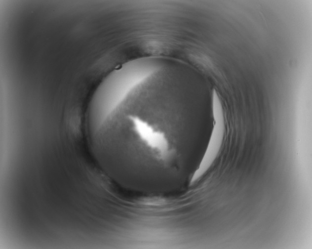 X0000088390266200706051123