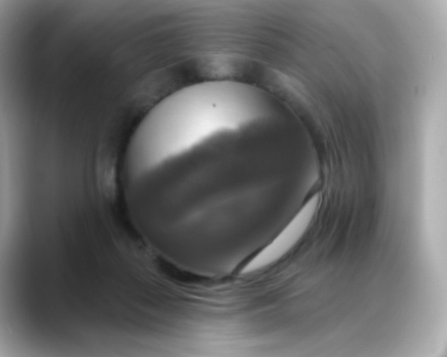 X0000088390267200706051123