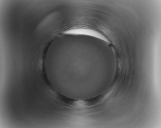 X0000088390269200706051123