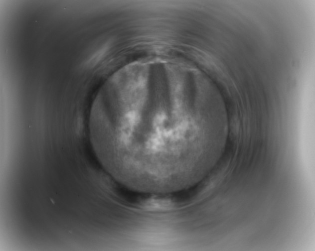 X0000088390270200706051123