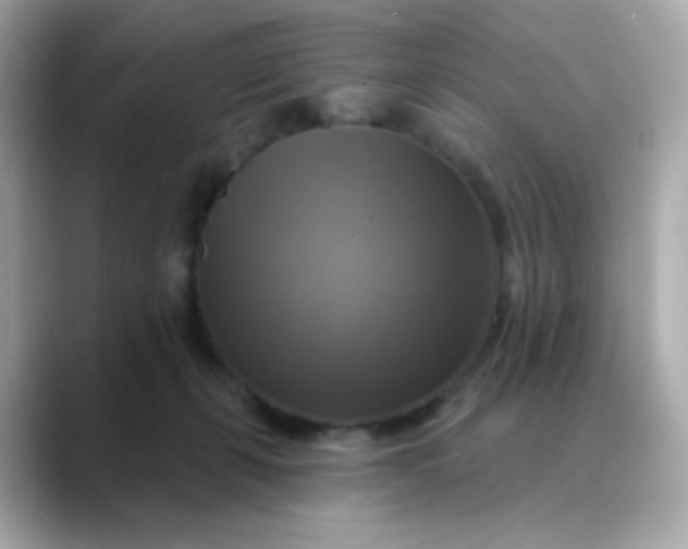 X0000088390271200706051123