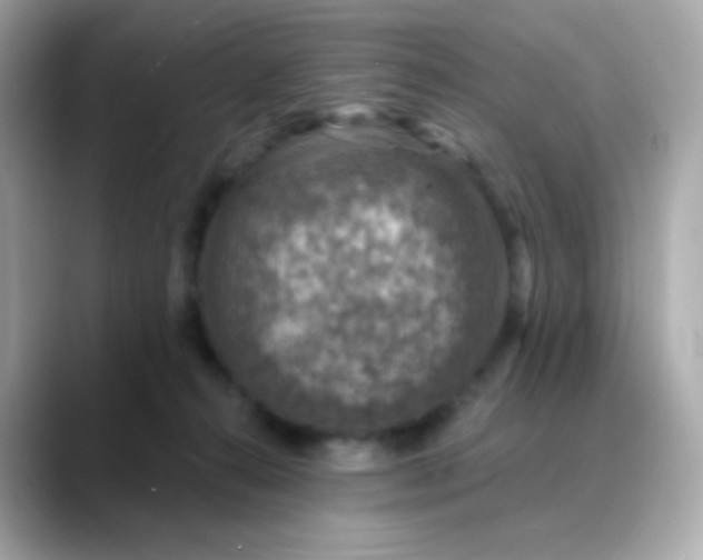 X0000088390272200706051123