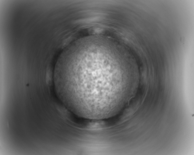 X0000088390274200706051123