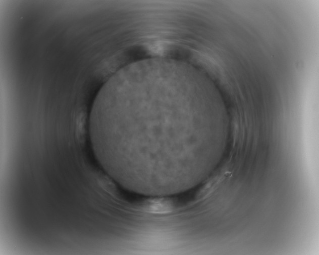 X0000088390275200706051123