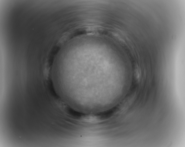 X0000088390276200706051123