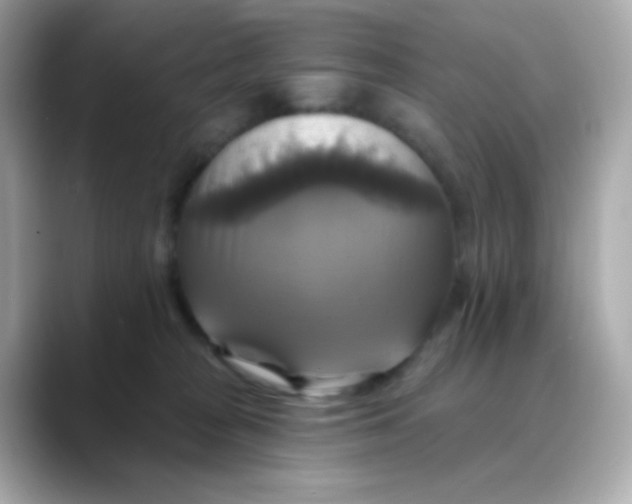 X0000088390277200706051123