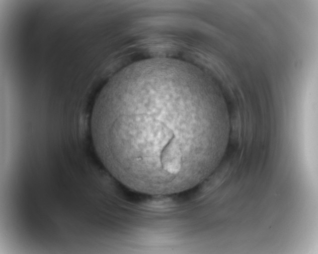 X0000088390278200706051123