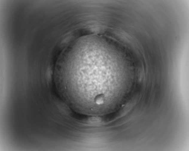 X0000088390279200706051123