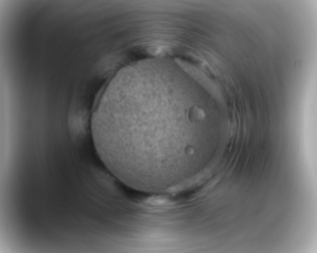 X0000088390280200706051123