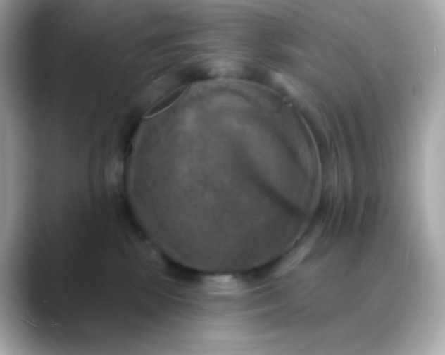 X0000088390281200706051123