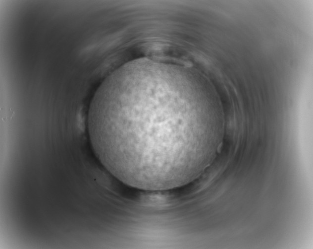 X0000088390282200706051123